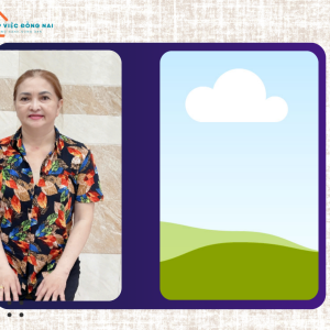Chị Nguyễn Lập Bình, sinh năm 1969, quê Hà Nam cần tìm việc