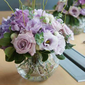 Tìm Gấp Chị Chăm Bà Giỏi Để Vợ Chồng Yên Tâm Làm Việc