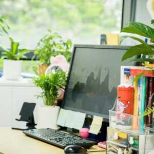 Tuyển Gấp 1 Chị Chuyên Tạp Vụ Văn Phòng Làm Việc Tại Tân Phú, Lương Cao, Chế Độ Tốt