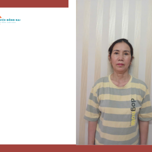 Chị LÊ THỊ NGOÃN, sinh năm 1968, quê Hải Dương cần tìm việc