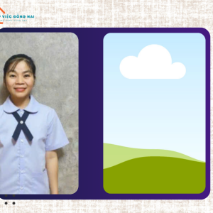 Chị NGUYỄN THỊ LIỄU, sinh năm 1981, quê Bình Định cần tìm việc