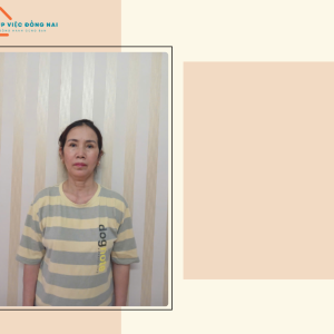 Chị LÊ THỊ NGOÃN, sinh năm 1968, quê Hải Dương cần tìm việc