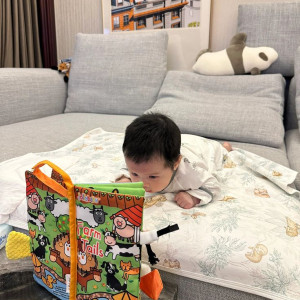 Tìm Chị Chăm Em Bé 5 Tháng Tuổi Bao Ăn Ở Tại Gò Vấp.