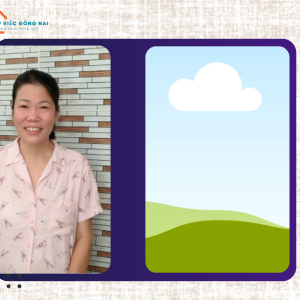 Chị NGUYỄN THỊ RƠI, sinh năm 1974, quê Nam Định cần tìm việc