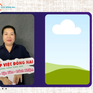 Chị Ngô Thị Ngọc Diện, sinh năm 1991, quê Đồng Tháp cần tìm việc