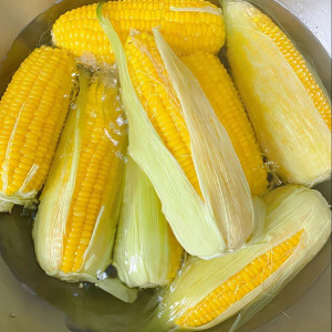 Tìm Gấp Người Giúp Việc Nấu Ăn Cho Gia Đình - Lương 15 Triệu