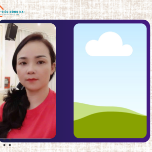 Chị NGUYỄN THỊ LAN HƯƠNG, sinh năm 1980, quê Đồng Nai cần tìm việc