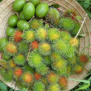 📣 CẦN GẤP CÔ GIÚP VIỆC NHÀ LH 0966529171