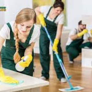 Cần Tìm Người Giúp Việc Nhà Nấu Ăn